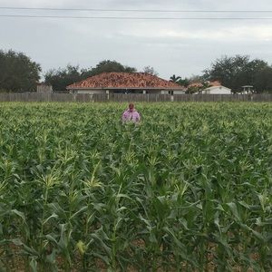 Meet your Posher, Philip